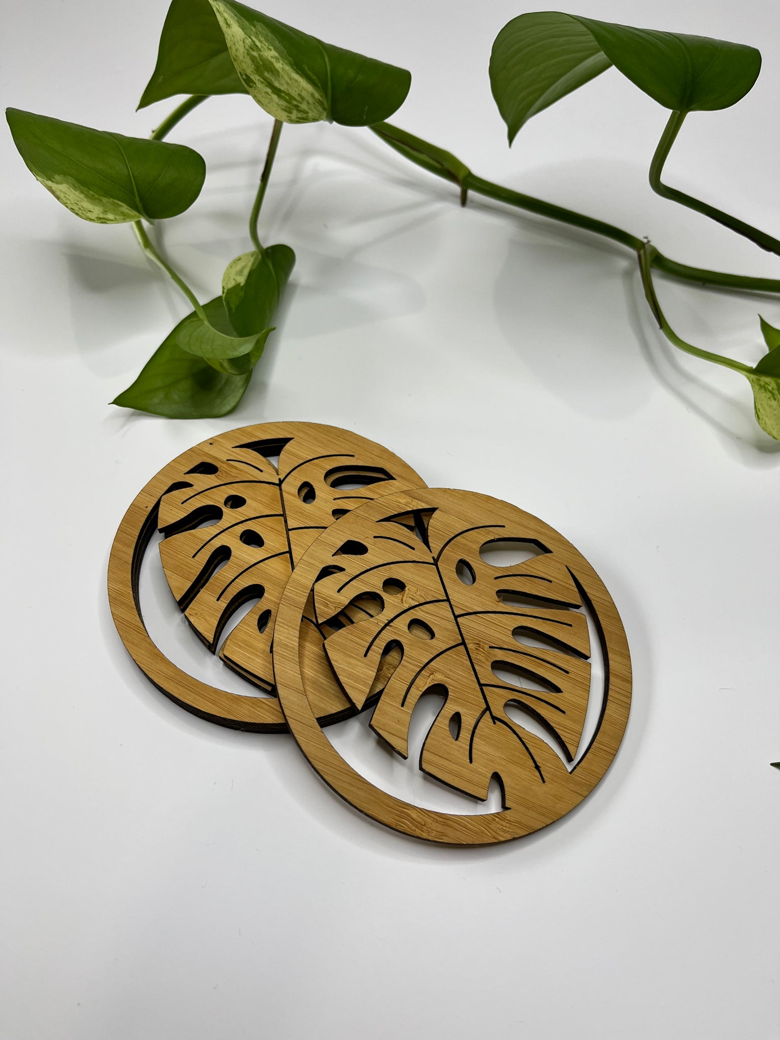 Monstera coasters.