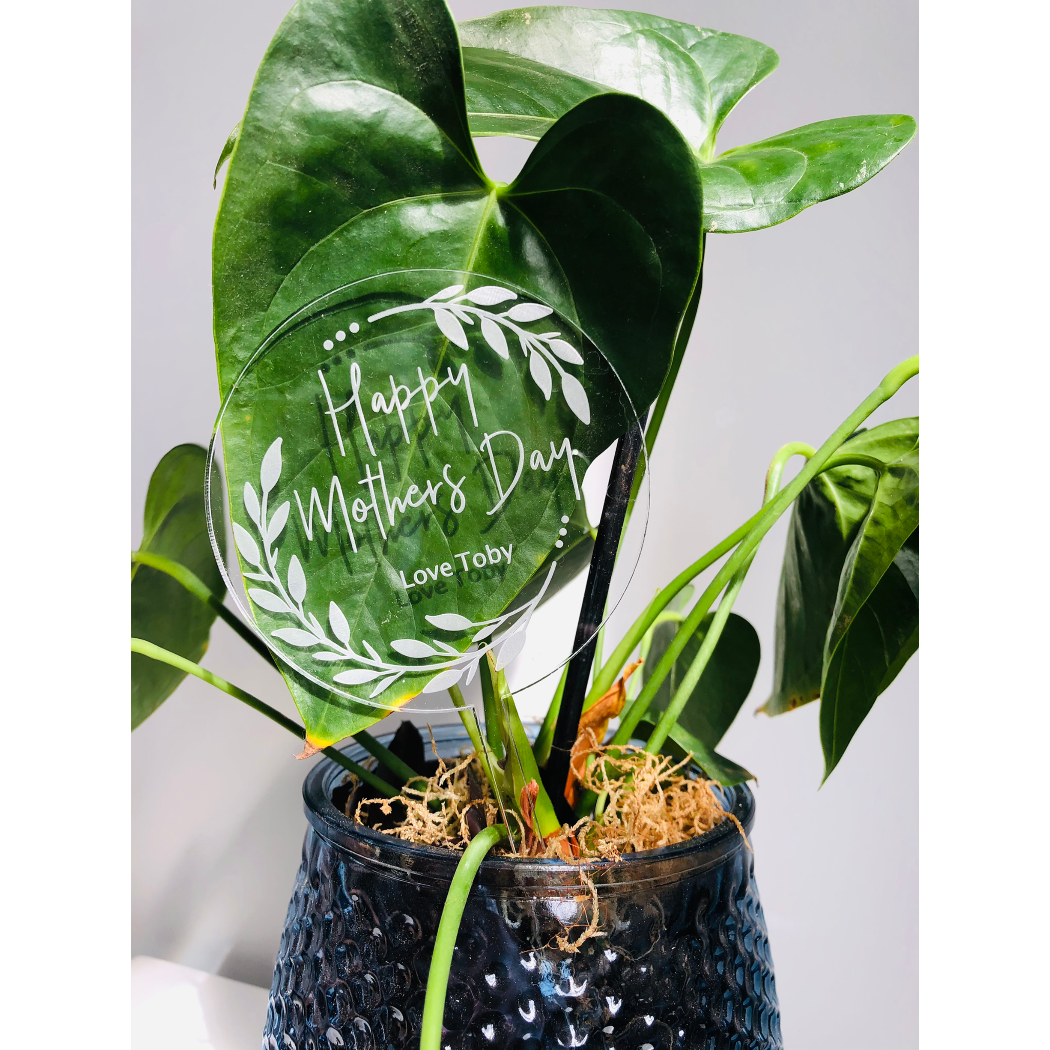 Personalised Planter Stick